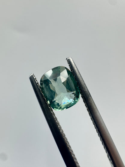 Cushion Cut Sapphire 1.55ct